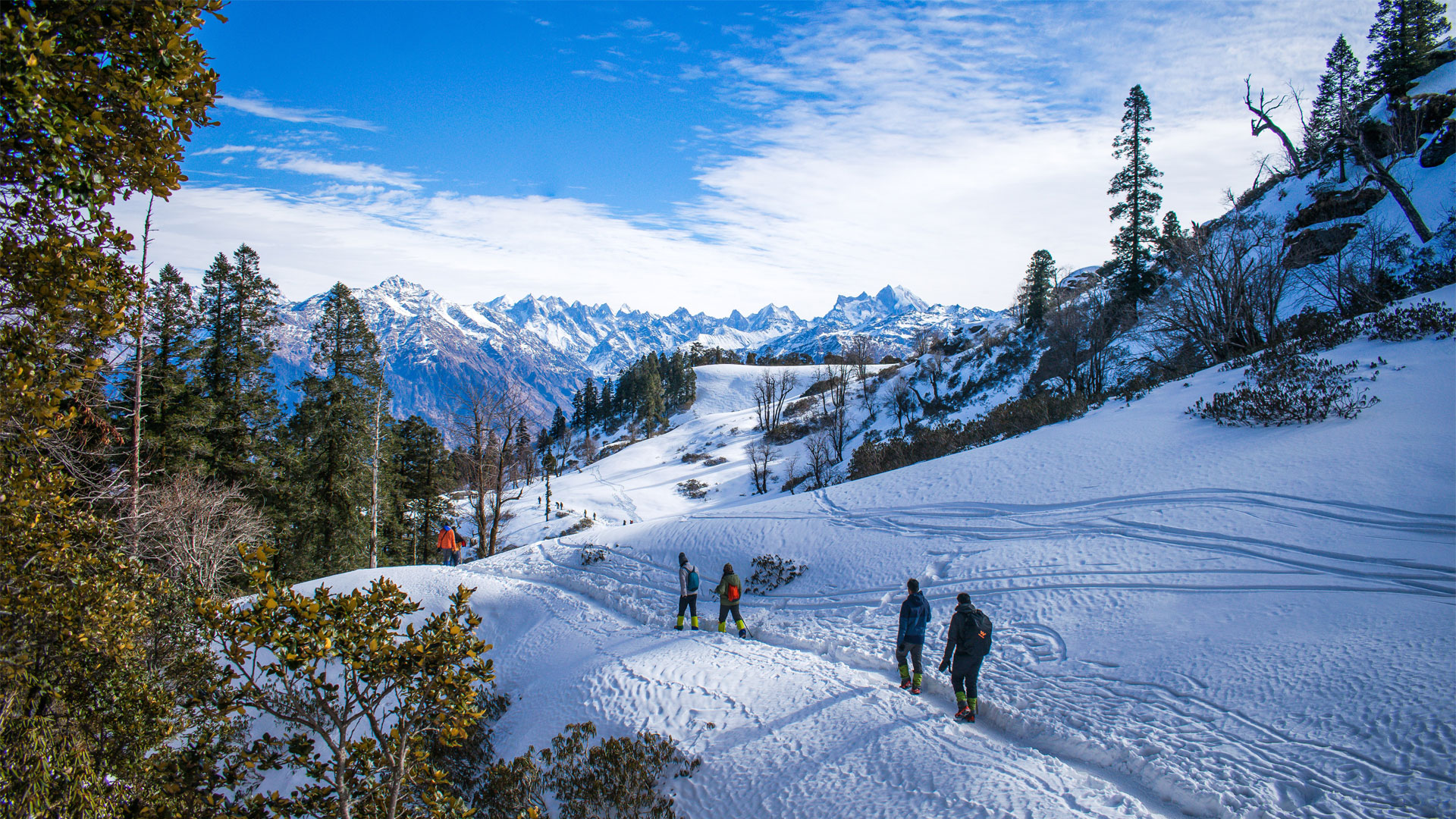 Tour Operator Jammu